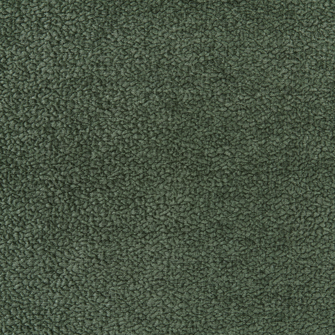 Barton Chenille - Fern 36074.33.0 by Kravet Smart Designer Fabric