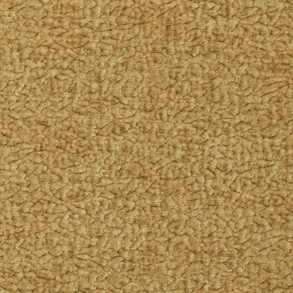 Barton Chenille Honey by Kravet Smart Designer Fabric POLYESTER - 100% India HEAVY Horizontal: 12 and Vertical: 4 54 - Swanky Fabrics -