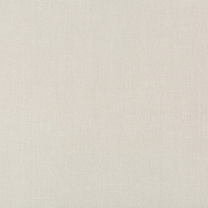 36076-1111 by Kravet Smart Designer Fabric PERFORMANCE KRAVETARMOR POLYESTER - 62%;COTTON - 38% India HEAVY Horizontal: 0 and Vertical: 0 54 - Swanky Fabrics -