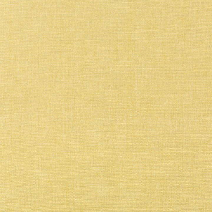 36076-1116 by Kravet Smart Designer Fabric PERFORMANCE KRAVETARMOR POLYESTER - 62%;COTTON - 38% India HEAVY Horizontal: 0 and Vertical: 0 54 - Swanky Fabrics -