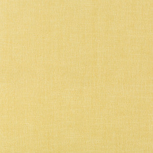 Kravet Smart 36076-1116 by Kravet Smart Designer Fabric