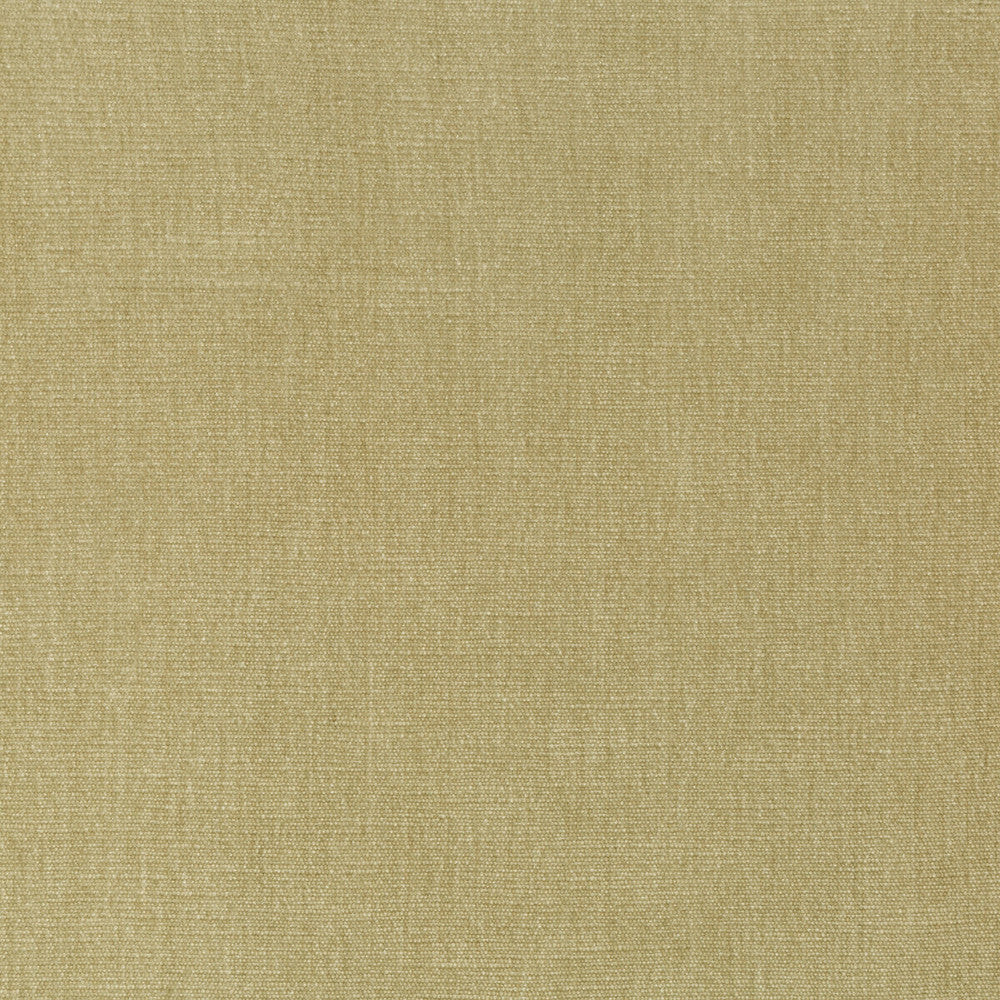 Kravet Smart 36076-1616 by Kravet Smart Fabric Kravet Smart Fabric Kravet Smart 36076-1616Fabric PERFORMANCE KRAVETARMOR POLYESTER - 62%;COTTON - 38% India </p><p>Repeat: H: 0, V: 0 54 - Fabric Carolina -