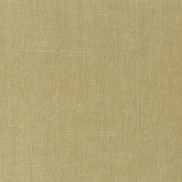 36076-1616 by Kravet Smart Designer Fabric PERFORMANCE KRAVETARMOR POLYESTER - 62%;COTTON - 38% India HEAVY Horizontal: 0 and Vertical: 0 54 - Swanky Fabrics -