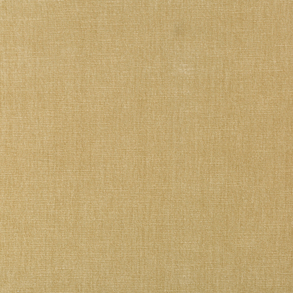 Kravet Smart 36076-161 by Kravet Smart Fabric Kravet Smart Fabric Kravet Smart 36076-161Fabric PERFORMANCE KRAVETARMOR POLYESTER - 62%;COTTON - 38% India </p><p>Repeat: H: 0, V: 0 54 - Fabric Carolina -