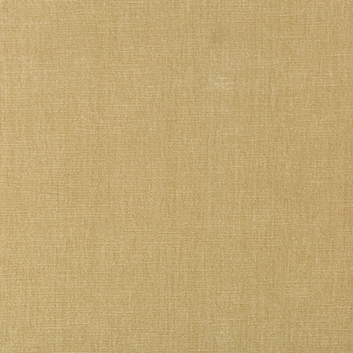 36076-161 by Kravet Smart Designer Fabric PERFORMANCE KRAVETARMOR POLYESTER - 62%;COTTON - 38% India HEAVY Horizontal: 0 and Vertical: 0 54 - Swanky Fabrics -