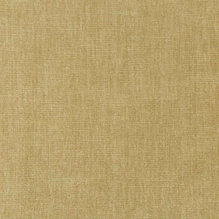 36076-16 by Kravet Smart Designer Fabric PERFORMANCE KRAVETARMOR POLYESTER - 62%;COTTON - 38% India HEAVY Horizontal: 0 and Vertical: 0 54 - Swanky Fabrics -