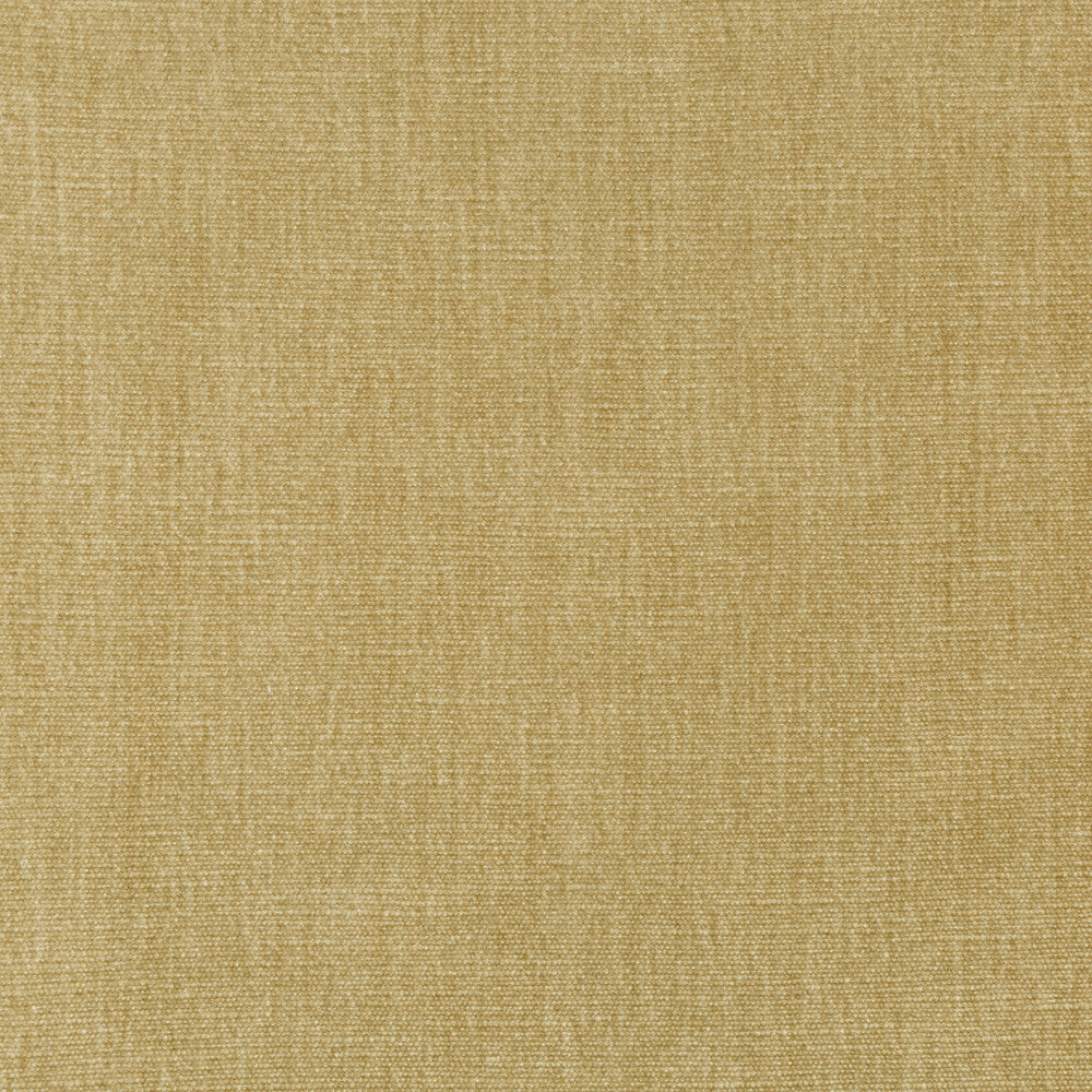 Kravet Smart 36076-16 by Kravet Smart Fabric Kravet Smart Fabric Kravet Smart 36076-16Fabric PERFORMANCE KRAVETARMOR POLYESTER - 62%;COTTON - 38% India </p><p>Repeat: H: 0, V: 0 54 - Fabric Carolina -