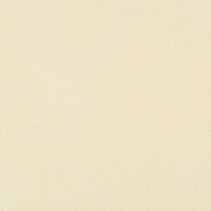 36076-1 by Kravet Smart Designer Fabric PERFORMANCE KRAVETARMOR POLYESTER - 62%;COTTON - 38% India HEAVY Horizontal: 0 and Vertical: 0 54 - Swanky Fabrics -
