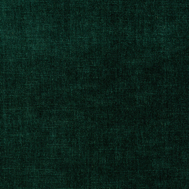 Kravet Smart 36076-35 by Kravet Smart Fabric Kravet Smart Fabric Kravet Smart 36076-35Fabric PERFORMANCE KRAVETARMOR POLYESTER - 62%;COTTON - 38% India </p><p>Repeat: H: 0, V: 0 54 - Fabric Carolina -