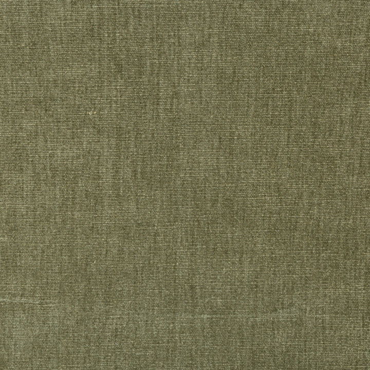 36076-606 by Kravet Smart Designer Fabric PERFORMANCE KRAVETARMOR POLYESTER - 62%;COTTON - 38% India HEAVY Horizontal: 0 and Vertical: 0 54 - Swanky Fabrics -