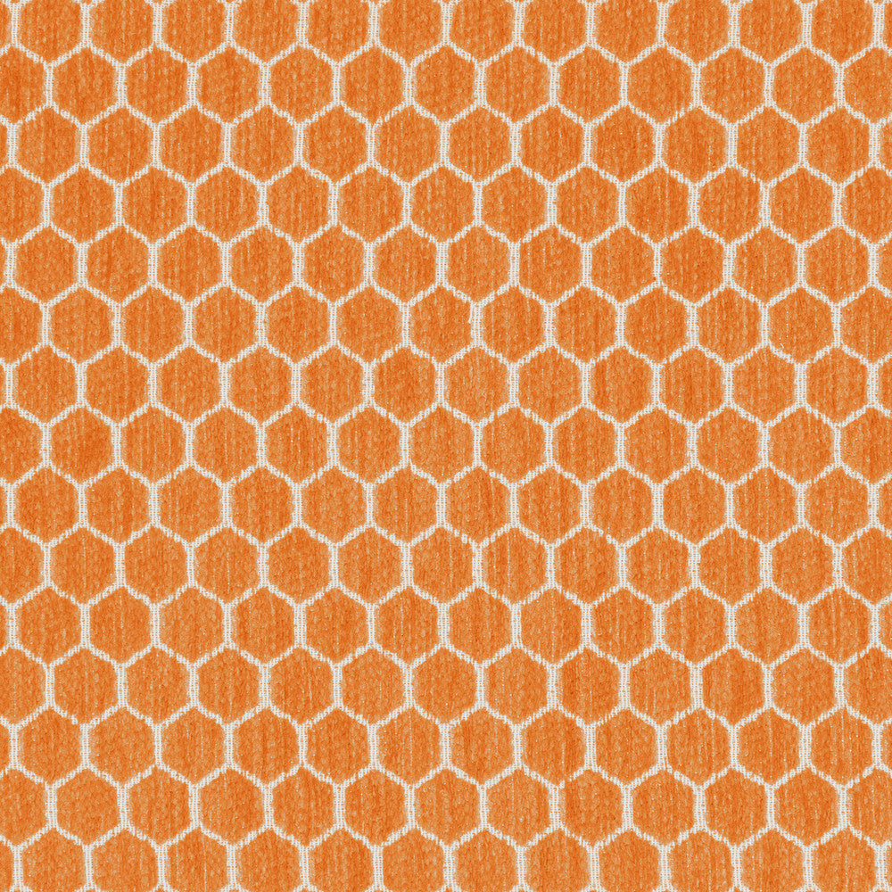 Kravet Design 36081-12 by Kravet Design Fabric Kravet Design Fabric Kravet Design 36081-12Fabric INSIDE OUT PERFORMANCE FABRICS POLYESTER - 100% United States </p><p>Repeat: H: 1.25, V: 0.69 57 - Fabric Carolina -
