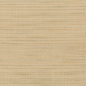 Kravet Design 36082-106 by Kravet Design Designer Fabric