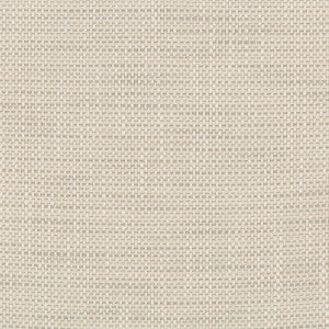 Kravet Design 36082-1101 by Kravet Design Designer Fabric