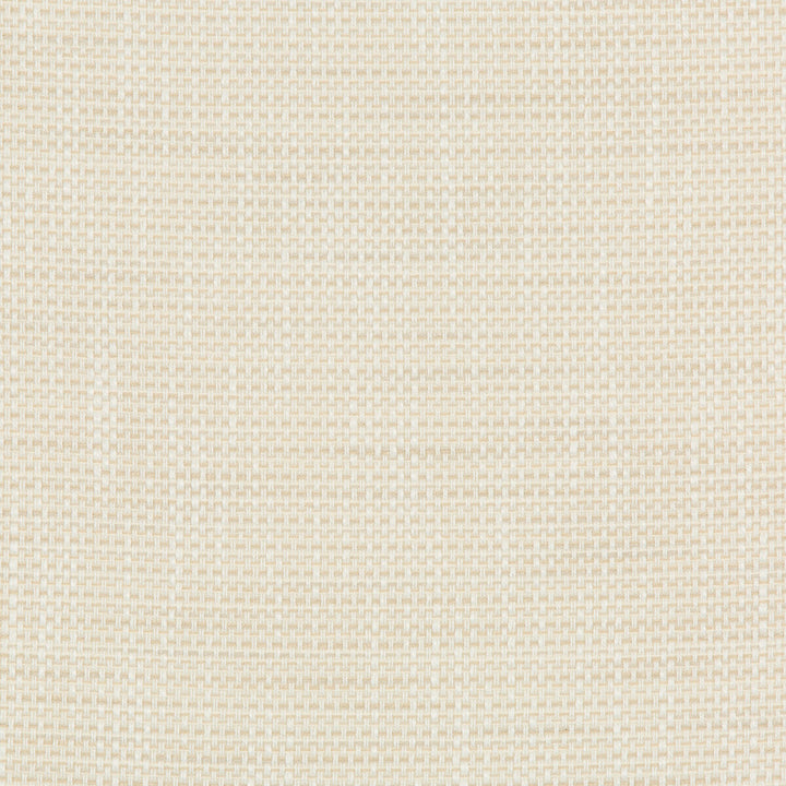 36082-1116 by Kravet Design Designer Fabric INSIDE OUT PERFORMANCE FABRICS POLYESTER - 92%;OLEFIN - 8% United States HEAVY Horizontal: 0 and Vertical: 0 55.75 - Swanky Fabrics -