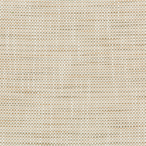 Kravet Design 36082-161 by Kravet Design Designer Fabric