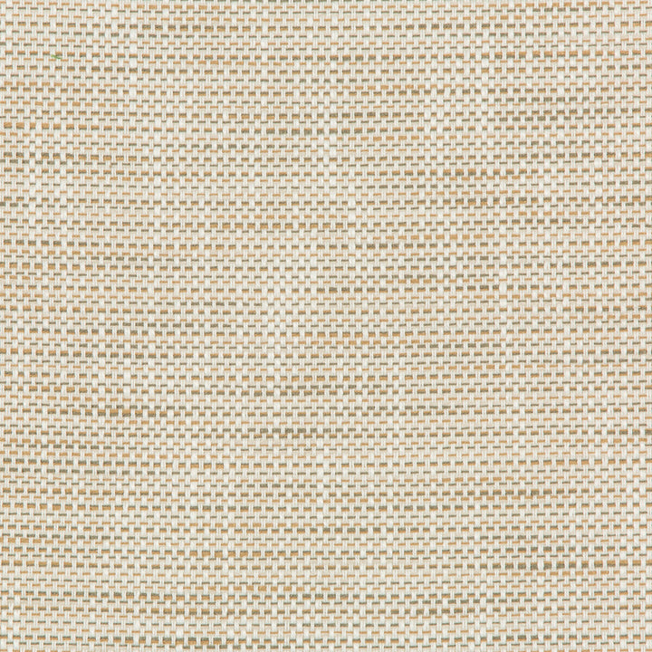 Kravet Design 36082-161 by Kravet Design Fabric Kravet Design Fabric Kravet Design 36082-161Fabric INSIDE OUT PERFORMANCE FABRICS POLYESTER - 92%;OLEFIN - 8% United States </p><p>Repeat: H: 0, V: 0 55.75 - Fabric Carolina -