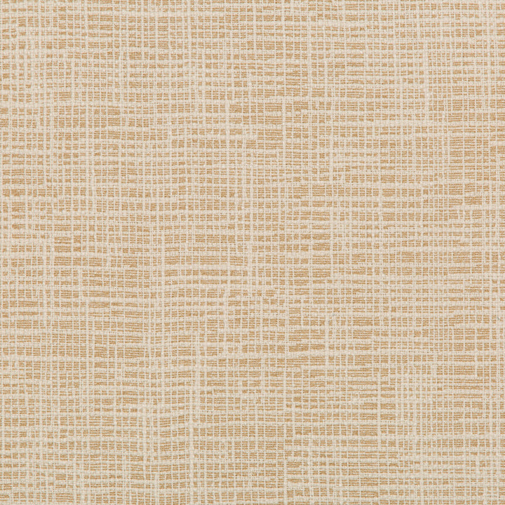 36083-1616 by Kravet Design Designer Fabric INSIDE OUT PERFORMANCE FABRICS POLYESTER - 100% United States HEAVY Horizontal: 10.69 and Vertical: 6.25 54.5 - Swanky Fabrics -