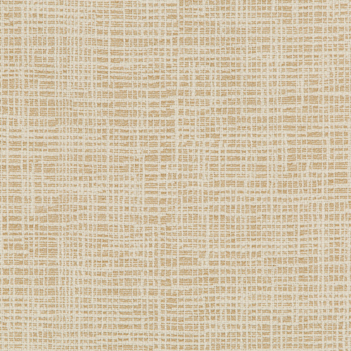 Kravet Design 36083-16 by Kravet Design Fabric Kravet Design Fabric Kravet Design 36083-16Fabric INSIDE OUT PERFORMANCE FABRICS POLYESTER - 100% United States </p><p>Repeat: H: 10.69, V: 6.25 54.5 - Fabric Carolina -