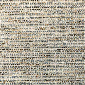 Naturalist Pewter by Kravet Designer Fabric