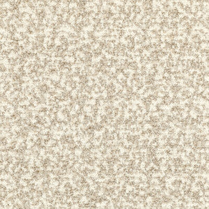 Flying High White Sand by Kravet Designer Fabric