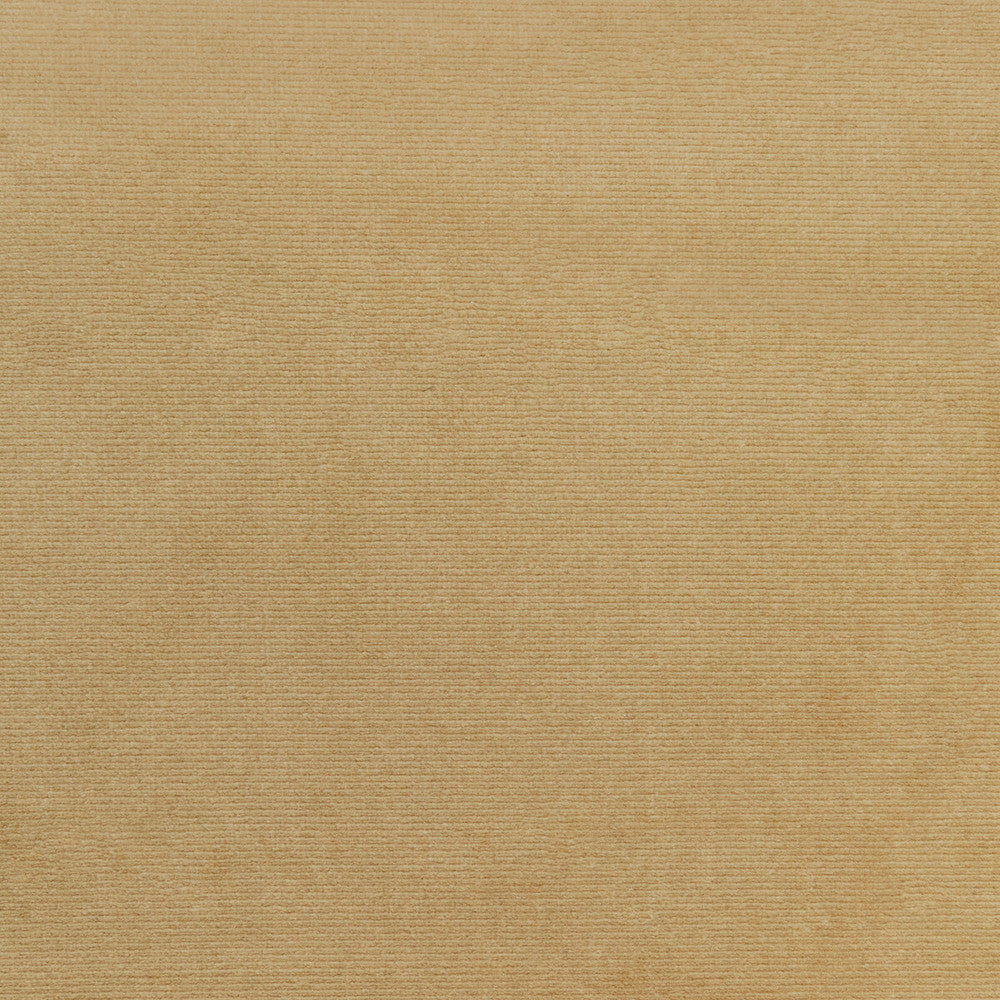 36111-106 by Kravet Smart Designer Fabric PERFORMANCE KRAVETARMOR POLYESTER - 100% Turkey HEAVY Horizontal: 0 and Vertical: 0 55 - Swanky Fabrics -