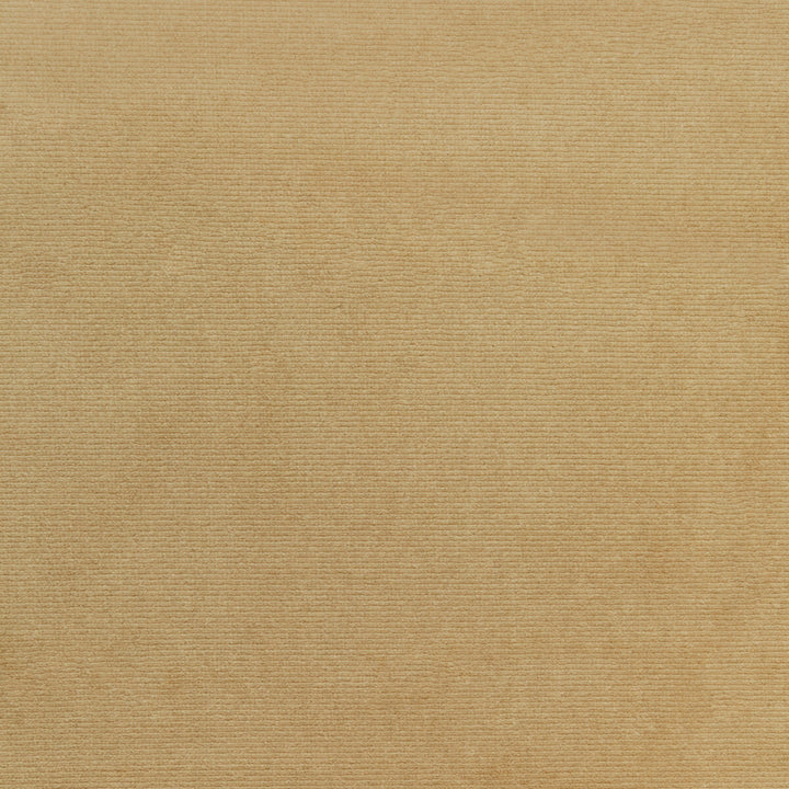 36111-106 by Kravet Smart Designer Fabric PERFORMANCE KRAVETARMOR POLYESTER - 100% Turkey HEAVY Horizontal: 0 and Vertical: 0 55 - Swanky Fabrics -