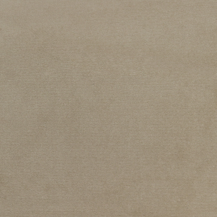 Kravet Smart 36111-11 by Kravet Smart Fabric Kravet Smart Fabric Kravet Smart 36111-11Fabric PERFORMANCE KRAVETARMOR POLYESTER - 100% Turkey </p><p>Repeat: H: 0, V: 0 55 - Fabric Carolina -