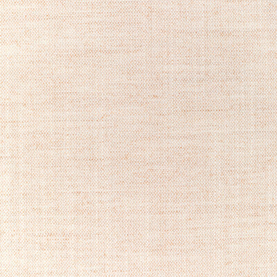 36112.1116.0 by Kravet Fabric Kravet Fabric 36112.1116.0Fabric PERFORMANCE KRAVETARMOR POLYESTER - 100% India </p><p>Repeat: H: 0, V: 0 54 - Fabric Carolina -