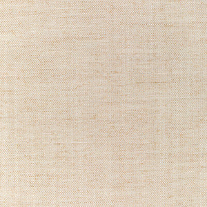 36112-1161 by Kravet Designer Fabric
