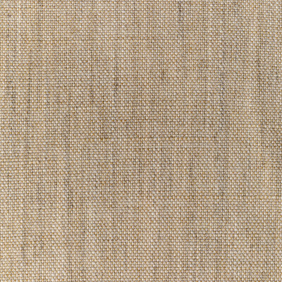 36112.166.0 by Kravet Fabric Kravet Fabric 36112.166.0Fabric PERFORMANCE KRAVETARMOR POLYESTER - 100% India </p><p>Repeat: H: 0, V: 0 54 - Fabric Carolina -