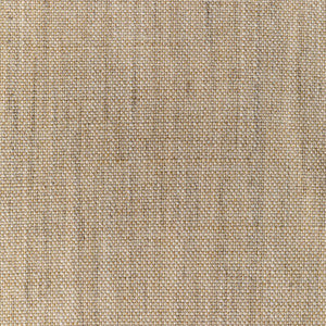 36112-166 by Kravet Designer Fabric