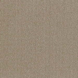 36116-166 by Kravet Designer Fabric