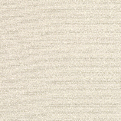 36121.1116.0 by Kravet Fabric Kravet Fabric 36121.1116.0Fabric ACRYLIC CHENILLE - 58%;POLYESTER - 30%;COTTON - 12% Italy </p><p>Repeat: H: 0, V: 0 55.12 - Fabric Carolina -