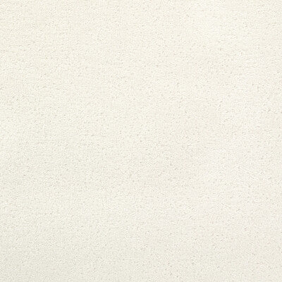 36122.1.0 by Kravet Fabric Kravet Fabric 36122.1.0Fabric POLYESTER - 100% China </p><p>Repeat: H: 0, V: 0 55 - Fabric Carolina -