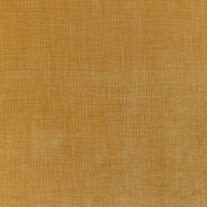 Accommodate Dijon by Kravet Contract Fabric Kravet Contract Fabric Accommodate DijonFabric SUPREEN POLYESTER - 98%;SILICONE - 2% China </p><p>Repeat: H: 0, V: 0 54 - Fabric Carolina -