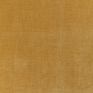 Accommodate Dijon by Kravet Contract Designer Fabric