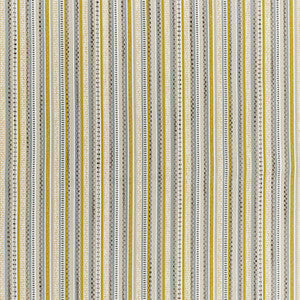 Kisco Citron by Kravet Designer Fabric