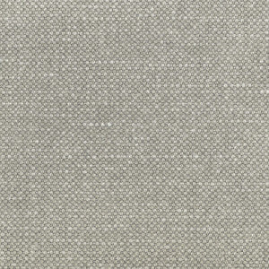 Carson Nickel by Kravet Designer Fabric
