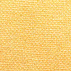 Carson Butter by Kravet Designer Fabric