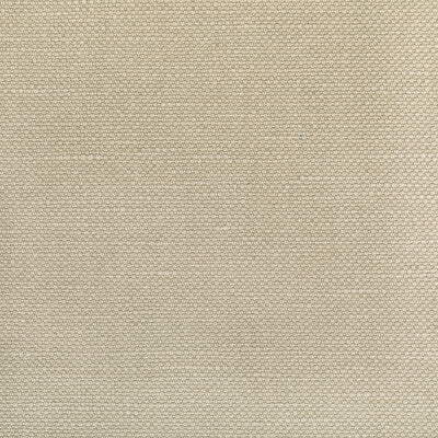 36282.1611.0 by Kravet Fabric Kravet Fabric 36282.1611.0Fabric COTTON - 60%;LINEN - 40% India </p><p>Repeat: H: 0, V: 0 55 - Fabric Carolina -
