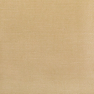 Carson Tussah by Kravet Designer Fabric