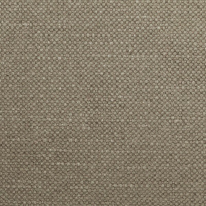 Carson Steam by Kravet Designer Fabric