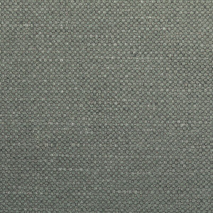Carson Rhino by Kravet Designer Fabric