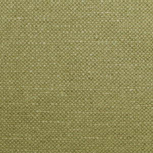 Carson Dill by Kravet Designer Fabric