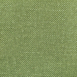 Carson Frog by Kravet Designer Fabric
