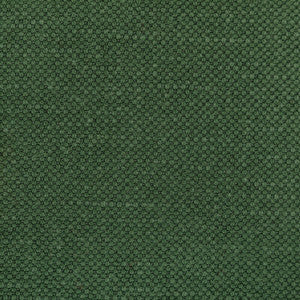 Carson Envy by Kravet Designer Fabric