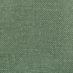 Carson Relish by Kravet Designer Fabric
