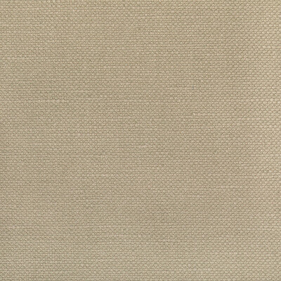 36282.6106.0 by Kravet Fabric Kravet Fabric 36282.6106.0Fabric COTTON - 60%;LINEN - 40% India </p><p>Repeat: H: 0, V: 0 55 - Fabric Carolina -