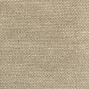 Carson Stone by Kravet Designer Fabric