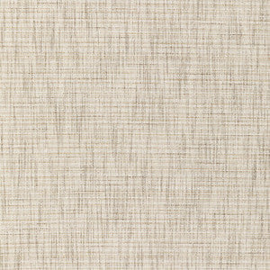 36289-1 by Kravet Designer Fabric